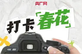 “颜值”变“产值” 春日经济激发市场新活力图片