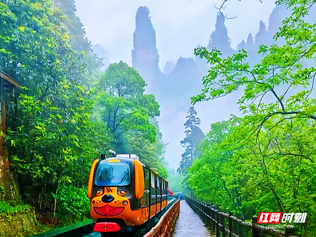 晴雨相间焕生机， 张家界十里画廊尽显山水灵秀