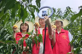 南华学子助农直播带货，助力乡村振兴图片