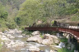 这个私藏在山谷里的养生真温泉，还跟闵行有关图片