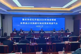 重庆地区汽车置换补贴预算追加至10.3亿元图片