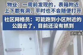 南京一小区发现巨长蛇蜕，多方回应：目前还未抓到图片