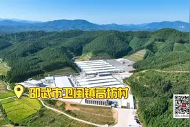 乡村欢乐购丨大山生态鸡蛋：满满“硒”引力，重温儿时味道......图片