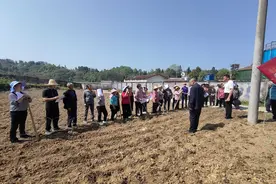 开阳县硒城街道邀请老农技专家开展大豆玉米带状复合种植技术培训图片