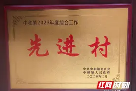 宁远大塘漯村：用心用情用力获表彰 收心归位奋进启新程图片
