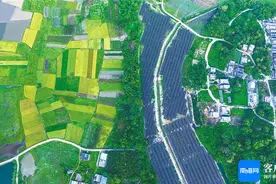 垦地融合、央地合作共建澄迈“光伏+”产业，推动乡村振兴图片