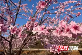 江永县香花井村：党群合力共建振兴路图片