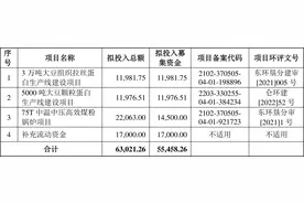索宝蛋白：拟首发募资5.55亿元投建大豆组织拉丝及颗粒蛋白生产线等项目 12月4日申购图片