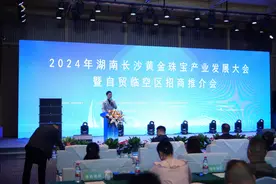 又一产业园签约落户长沙自贸临空区，2024湖南（长沙）自贸临空区召开招商推介会图片