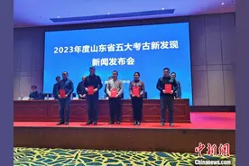 山东公布2023年度五大考古新发现 黄安遗址填补鲁南地区史前文化空白图片