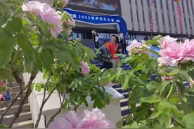 世界牡丹大会会歌、吉祥物公开全民征集图片