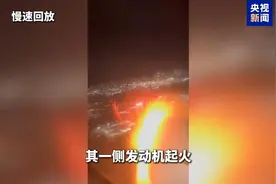 飞鸟撞击致发动机起火 美国一客机紧急降落图片