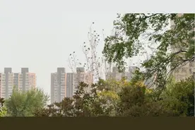 “输入性”沙尘天气多久结束？最新预测来了图片