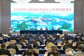 全国森林可持续经营试点工作现场推进会在信丰召开图片