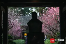 疏影暗香 一起来成都浣花溪感受“梅”好｜图集图片