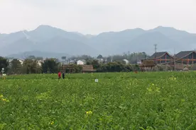 重庆璧山：举办西南精品农文旅投资沙龙 共话乡村振兴新机遇图片