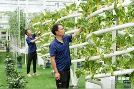 4206个瓜菜新品种 浙江“菜篮子”里有新风尚图片