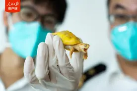 全国首例！男子非法引进外来入侵物种获刑图片