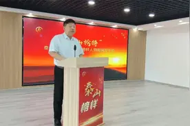 泰山区北上高村的“多面手书记”——“泰山先锋十佳党组织书记”吴长青图片