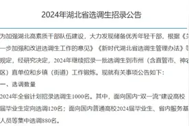 湖北省2024年计划招录选调生1000名图片