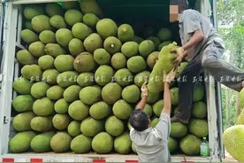 司机“坐地起价”加运费，被拒后竟把货拉走图片