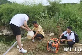 青春在田野绽放   湖南农业大学园艺学院实践团下乡解民忧图片