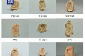 考古新发现，陕西西安张闫遗址出土封泥665枚图片
