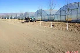 （乡村行 看振兴）山西天镇：冬闲人不闲 助力备耕“加速度”图片