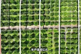 留住乡愁：千年桔乡陈村仙涌 “耕读传家”秀外慧中图片