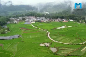 抓稻花鱼、泡温泉……享受秋日里的小确幸｜一家亲图片