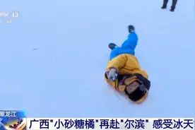 广西“小砂糖橘”再赴“尔滨” 一看到雪就要扑上去，喊都喊不走图片