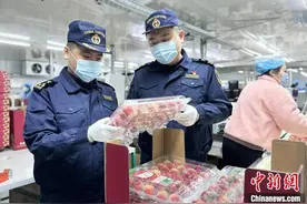 “东港草莓”今冬上市以来累计出口218吨  覆盖10余个国家和地区图片