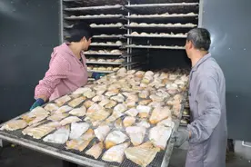 休宁县：乡村农事忙 拓宽群众增收渠道图片