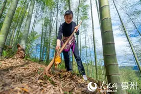 贵州赤水：穿山林越瀑布 一览赤水丹霞图片