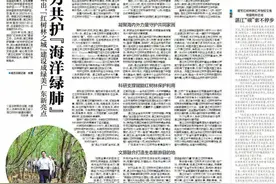 海内外聚力共护“海洋绿肺”！湛江两个万亩级红树林呼之欲出图片