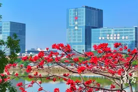 南方观察｜洪梅破旧立新，城乡融合“改”出精彩画卷图片