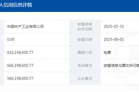 中国林业集团旗下2家子公司票据持续逾期图片