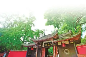 一年来，文化遗产如何创新保护和传承？让优秀传统文化焕发时代光彩图片