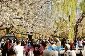 泉力提振消费|“春风”吹热消费市场图片