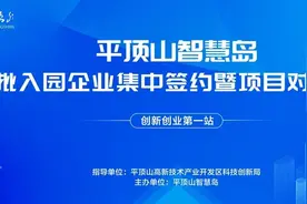 平顶山智慧岛10个项目实现签约图片