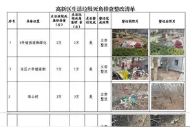 立查立改！垃圾死角清零行动见成效 城市品质再升级图片