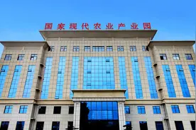 农业大县如何高质量发展？延津聚焦这几点图片