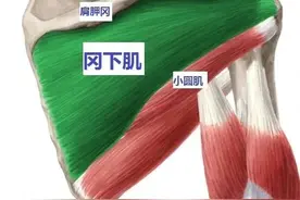 手够后背费劲的人，练4个动作改善图片
