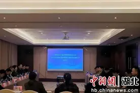 智库类AI大模型“问长江”在武汉发布图片