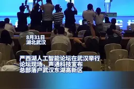 “交互式AI第一股”声通科技宣布总部落户武汉图片