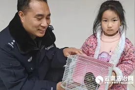 猫头鹰幼崽“落单” 福贡森警大队警民接力救助图片