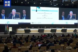 COP29迎来闭幕式“第一部分”，审议通过碳信用交易相关规则图片