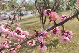 快把秋裤拿出来！长沙最高气温将至34℃，27日开始大降温加雷阵雨！图片