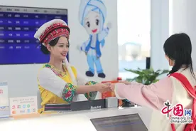 莫让第三方平台“搅浑”春运购票这潭清水图片