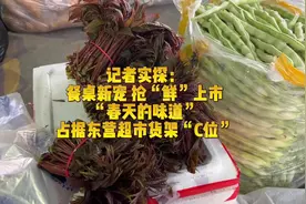 记者实探：餐桌新宠 抢“鲜”上市“春天的味道”占据东营超市货架“C位”图片